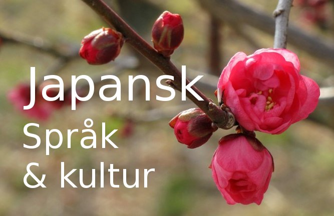 Japansk-mtekst.jpg